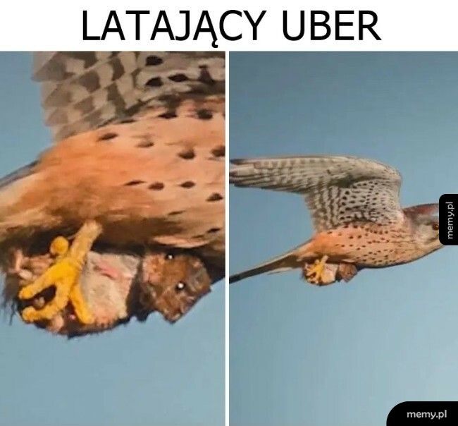 Latający Uber