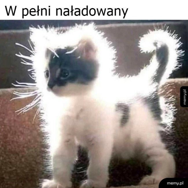 W pełni naładowany