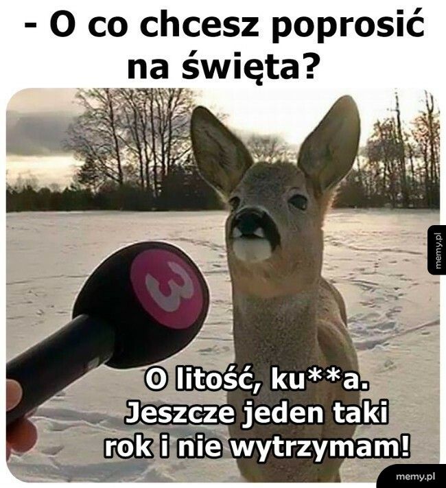 Prezent na święta