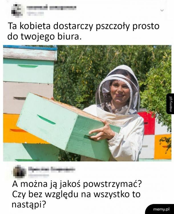 Świeże pszczółki z dostawą do biura