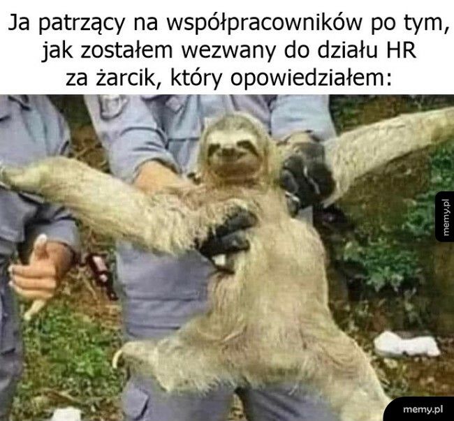 W drodze na dywanik