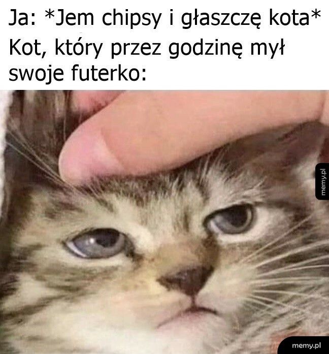 No jak tak można