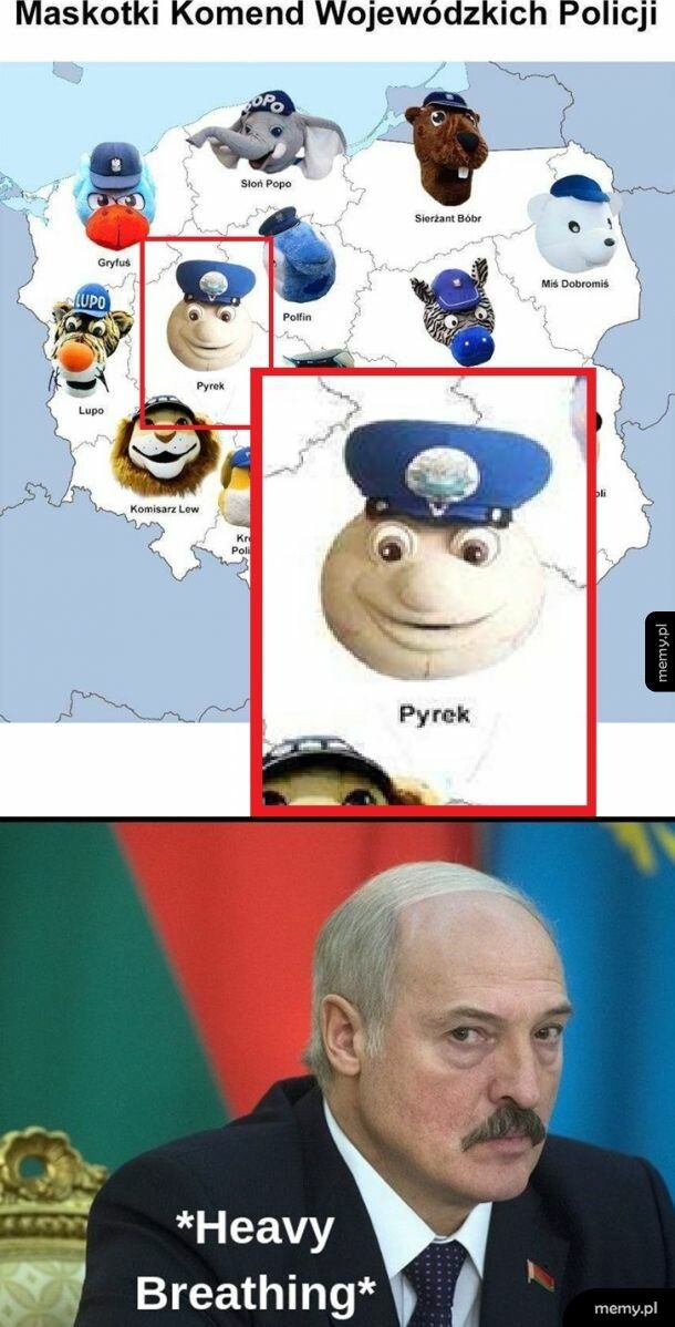 Pyrek