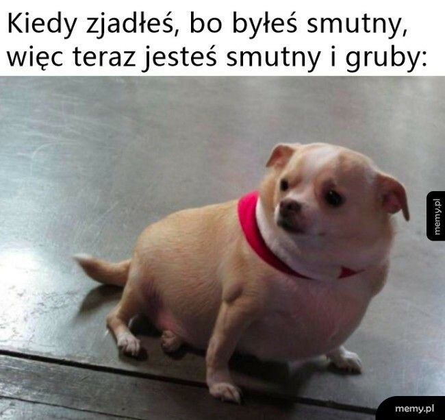 Zajadanie smutków