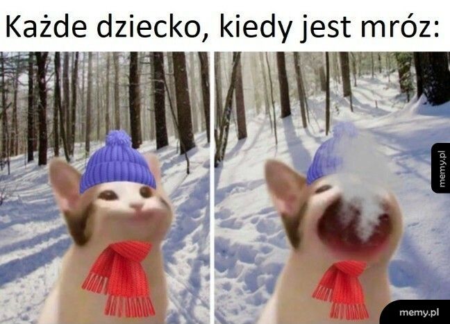 I nie tylko