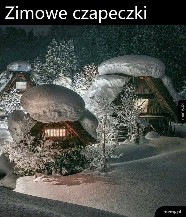 Zimowe czapeczki