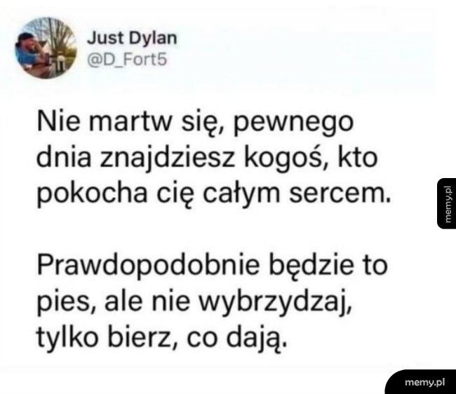 Ktoś, kto pokocha całym sercem