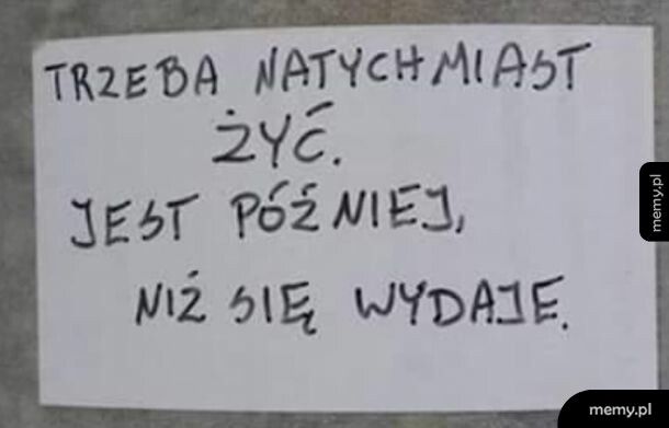 Żyjmy teraz