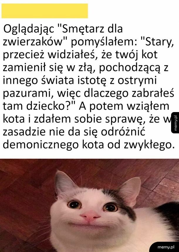 Demoniczny kot