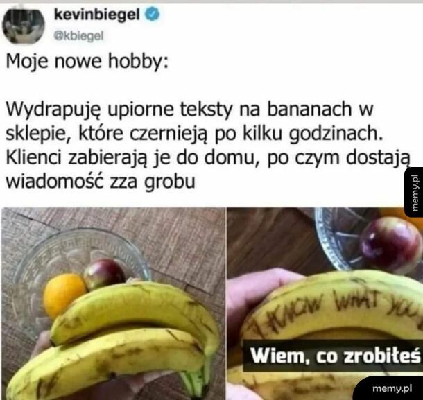 Pomysł na hobby