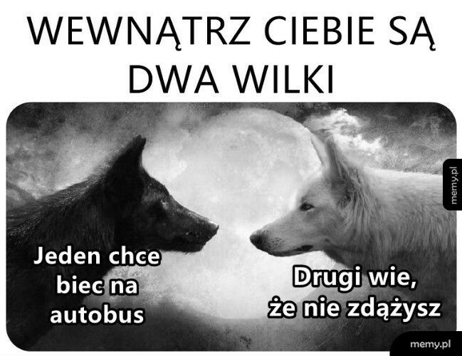 Dwa wilki