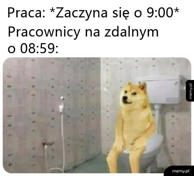 Praca zdalna