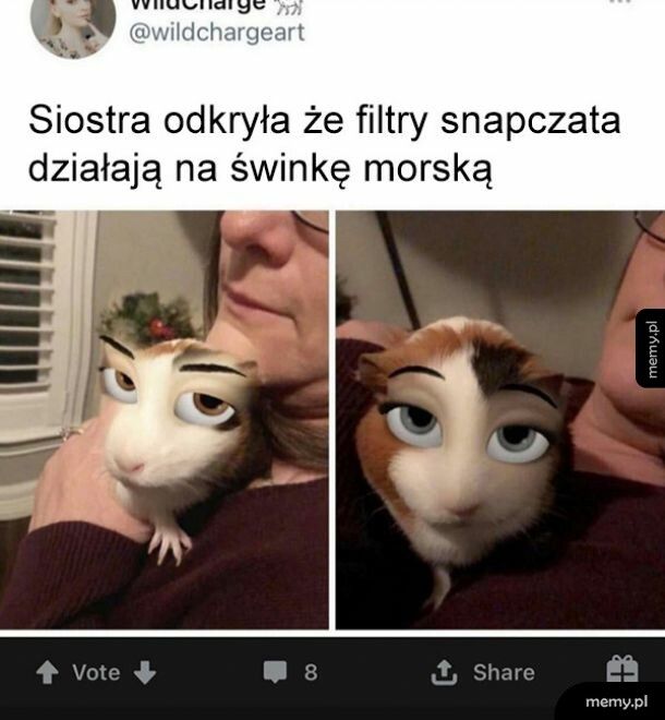 Pięknie wygląda