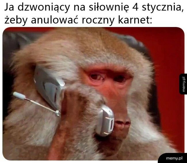 To tyle z postanowień