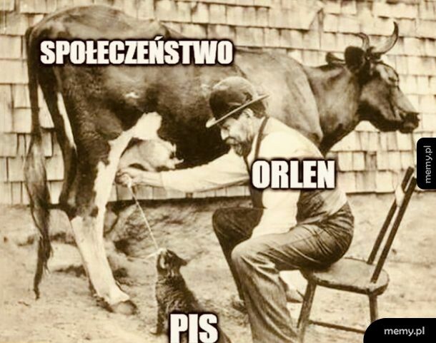 Dojenie na Orlenie