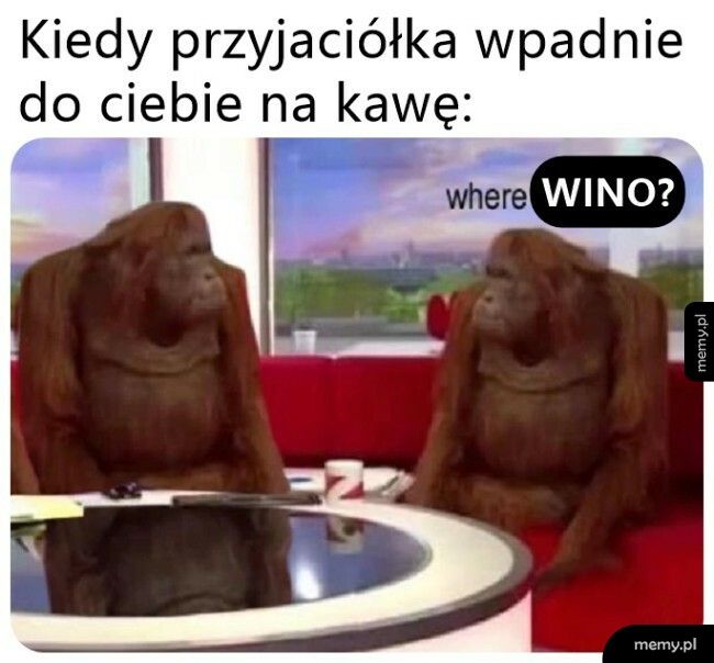 Żadna tam kawa