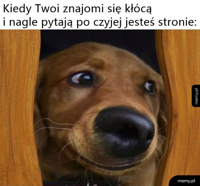 Poproszę o inny zestaw pytań