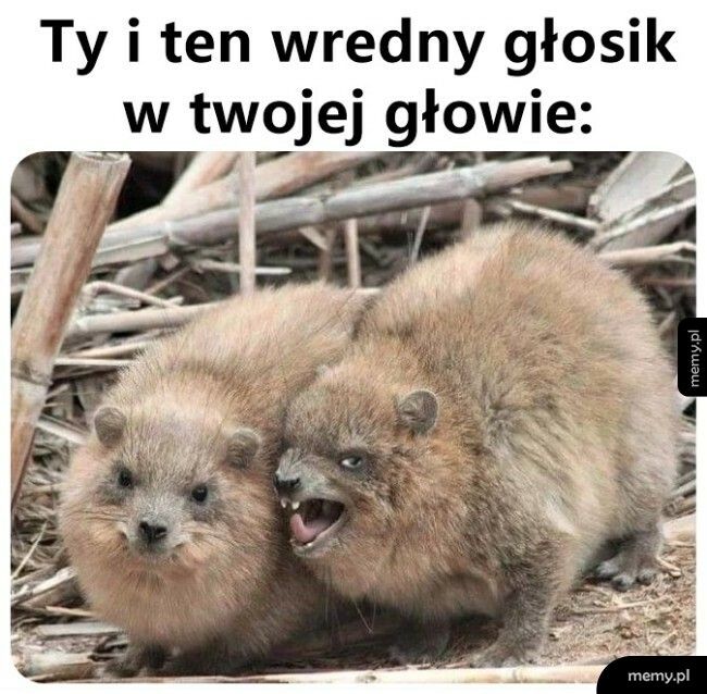 Wredny głosik