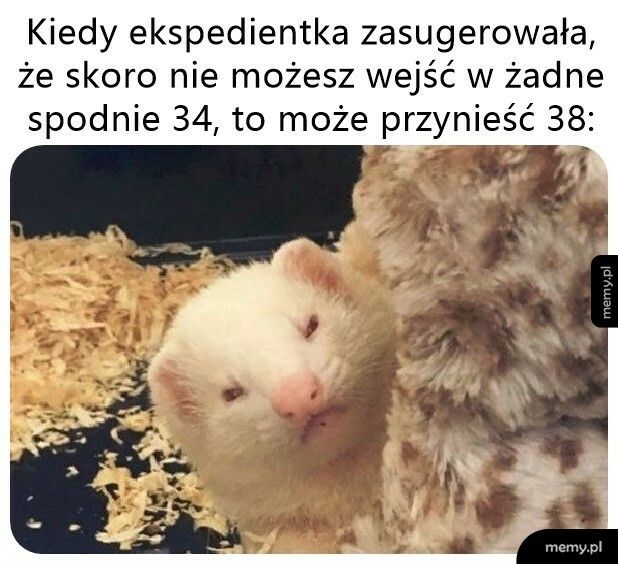 Nie trzeba