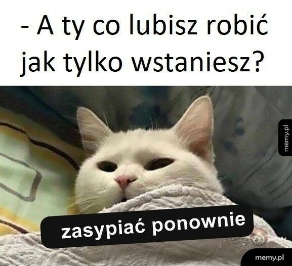 Tak najlepiej