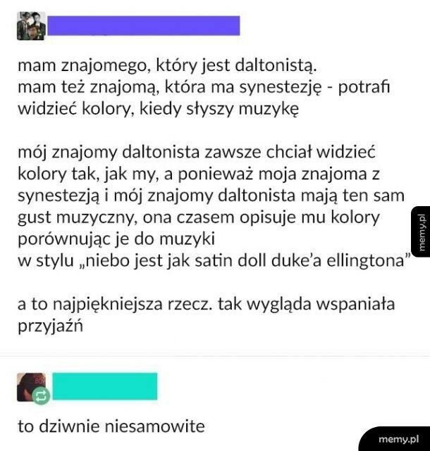 Niesamowita przyjaźń