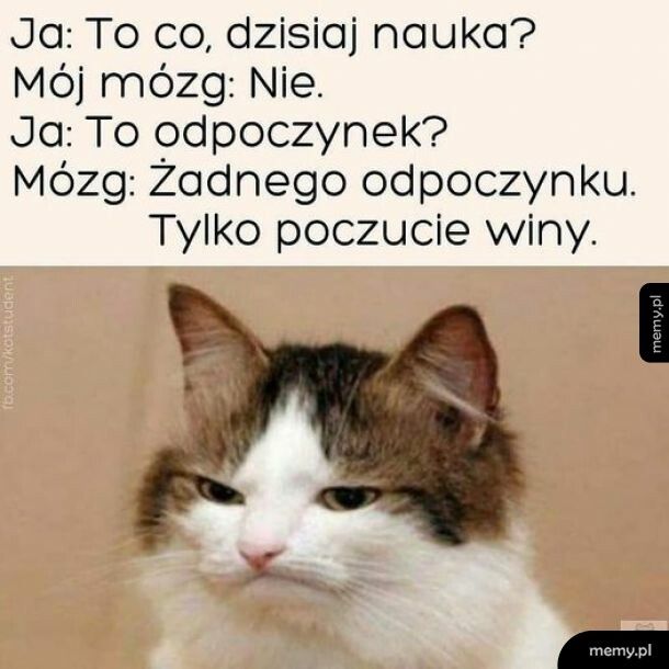 I jak zwykle