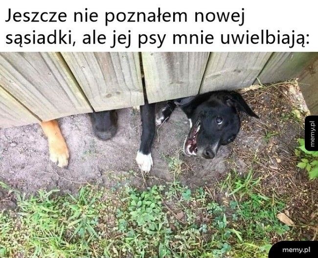 Nowe sąsiedztwo