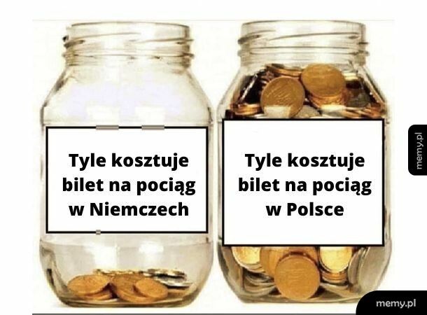 Niemcy zazdroszczą