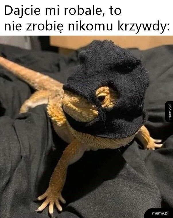 Możemy się dogadać