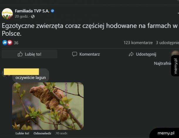 Egzotyczne zwierzęta