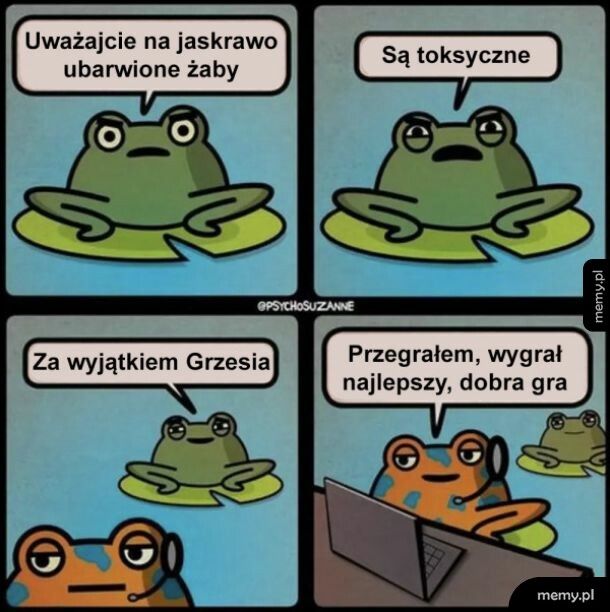 Jaskrawe żaby