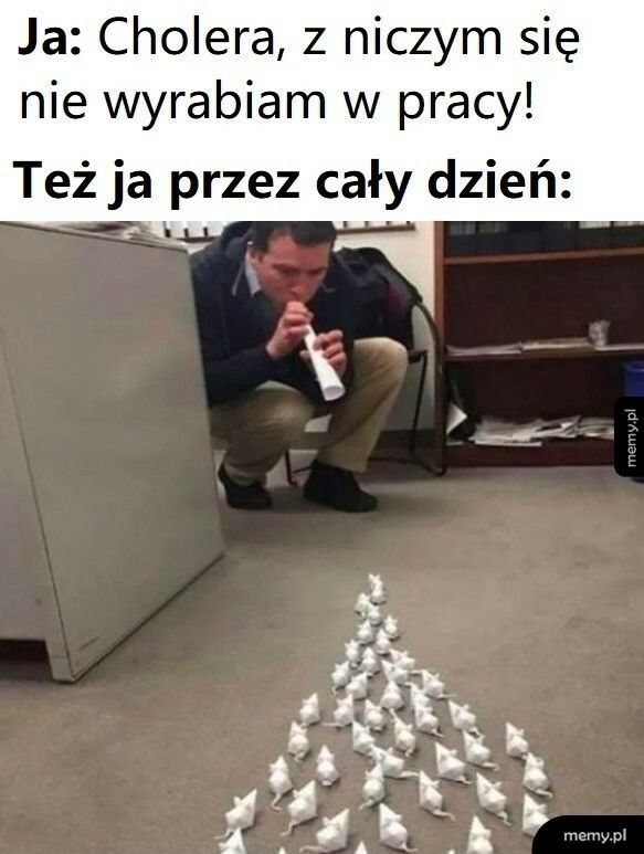 Czas w pracy