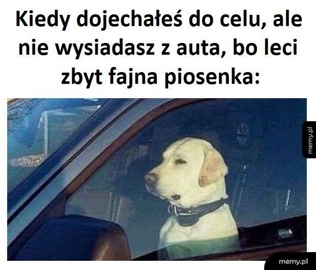 Trzeba dosłuchać