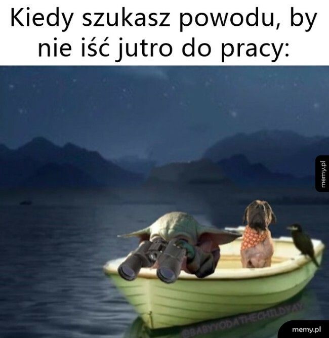 W poszukiwaniu powodu