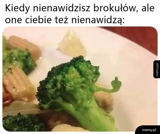 Wzajemna nienawiść