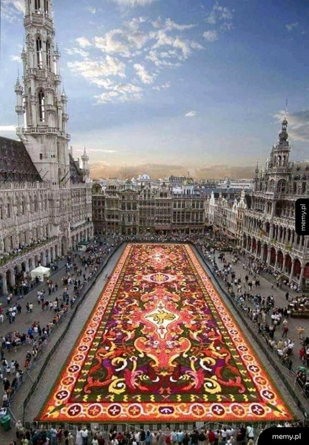 Dywan z kwiatów w Brukseli