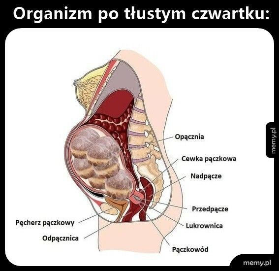 Organizm po tłustym czwartku