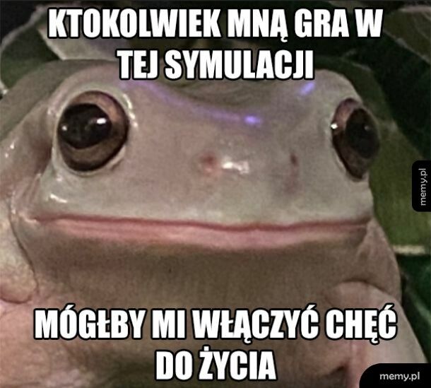 Chęć do życia