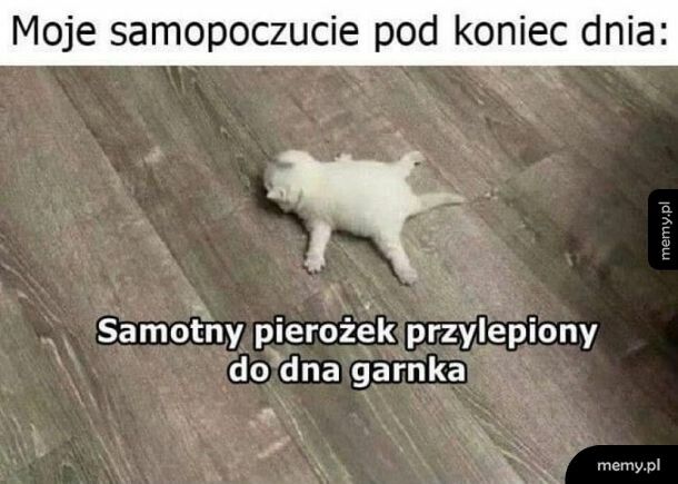 Samotny pierożek bez farszu