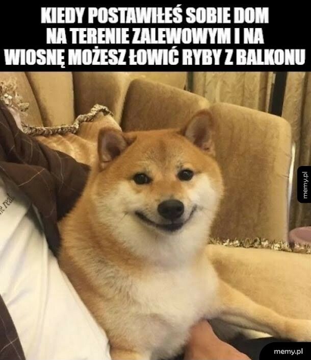 Podmokły teren