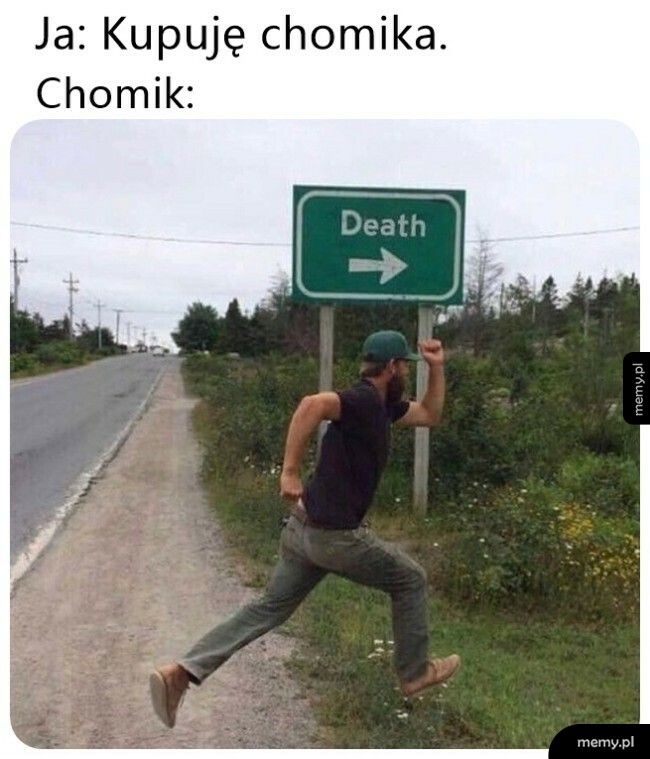 Chomiki