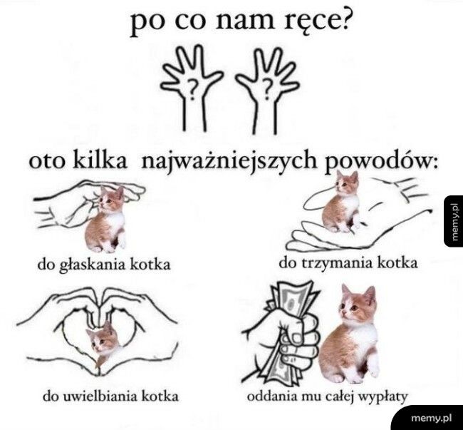 Po co nam ręce?