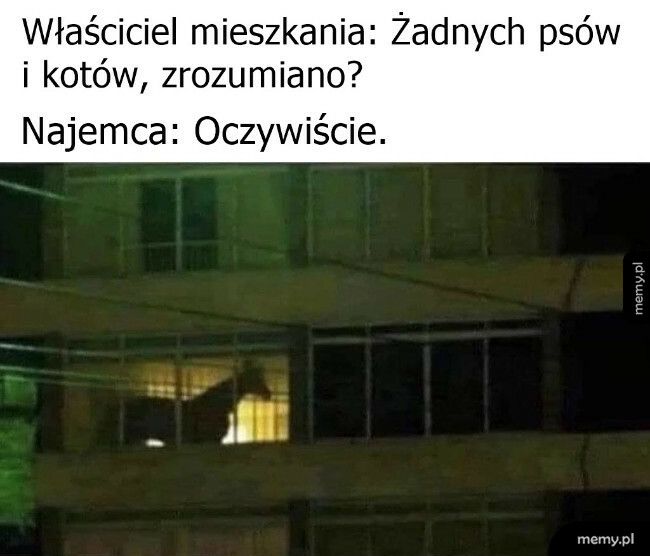 O koniach nic nie wspominał