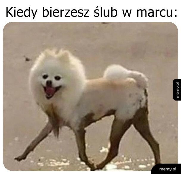 Ślub w marcu