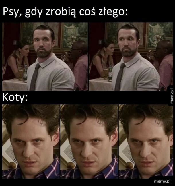 Psy vs. Koty