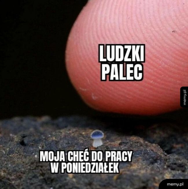 Chęć do pracy w poniedziałek