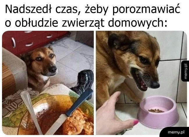 Do ich jedzenia nawet nie podchodź