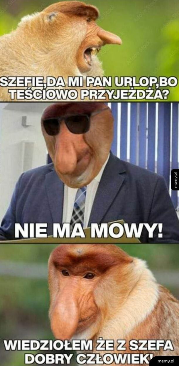 Kochany szef