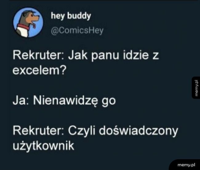 Biegłość w Excelu