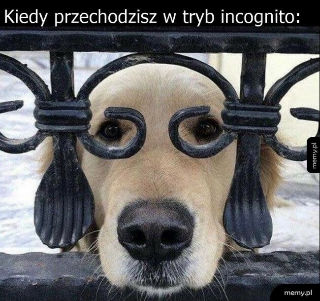 Tryb incognito